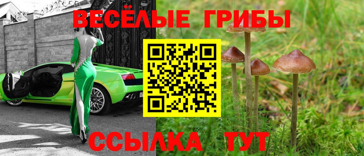 Галлюциногенные грибы Psilocybine cubensis  Вход с VPN  Псилоцибиновые грибы мицелий  Заринск 
