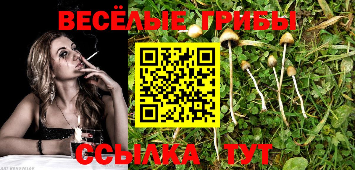 Галлюциногенные грибы Cubensis Заринск